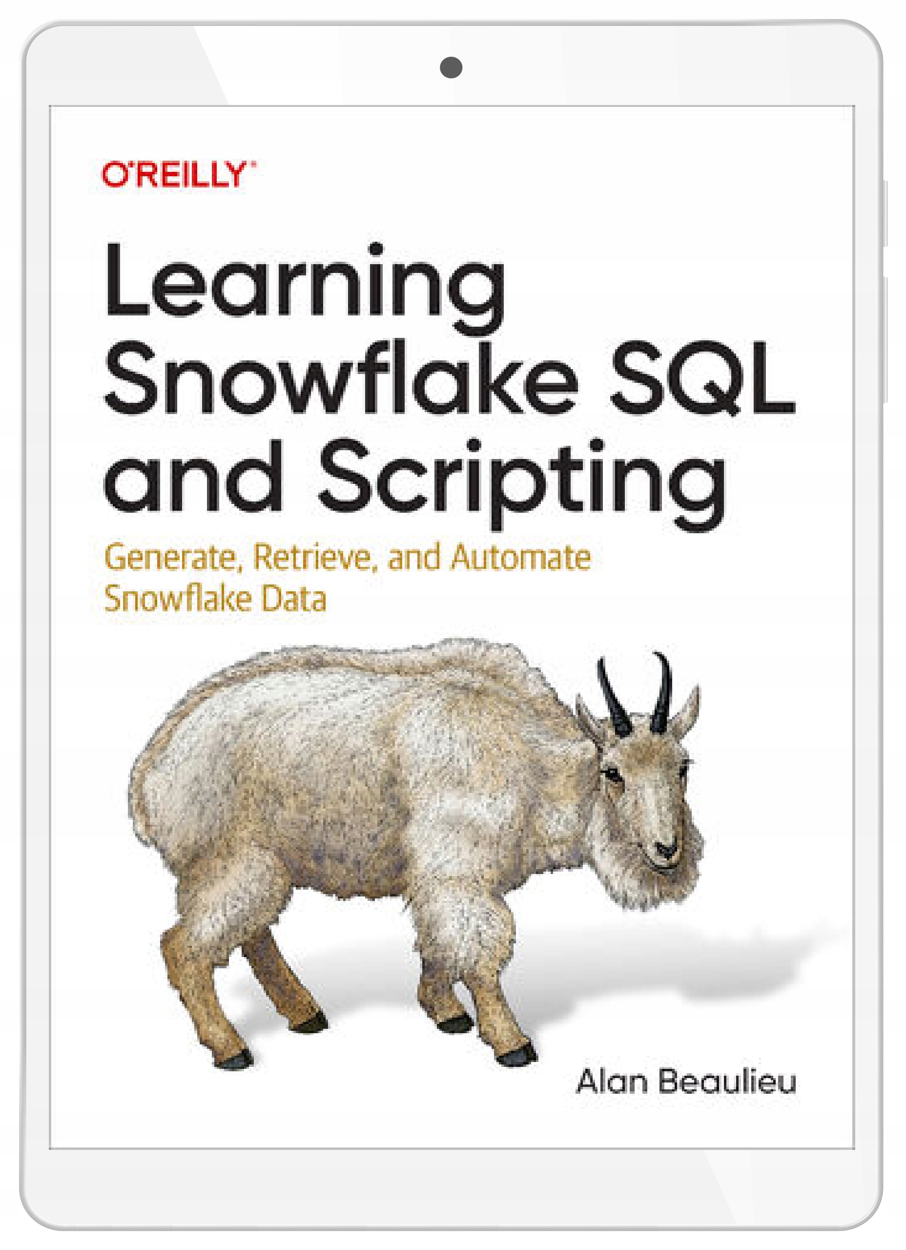 Learning Snowflake SQL and Scripting