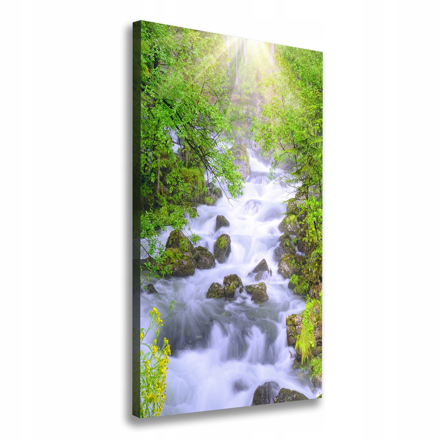 

Foto obraz canvas do salonu Górski potok 60x120