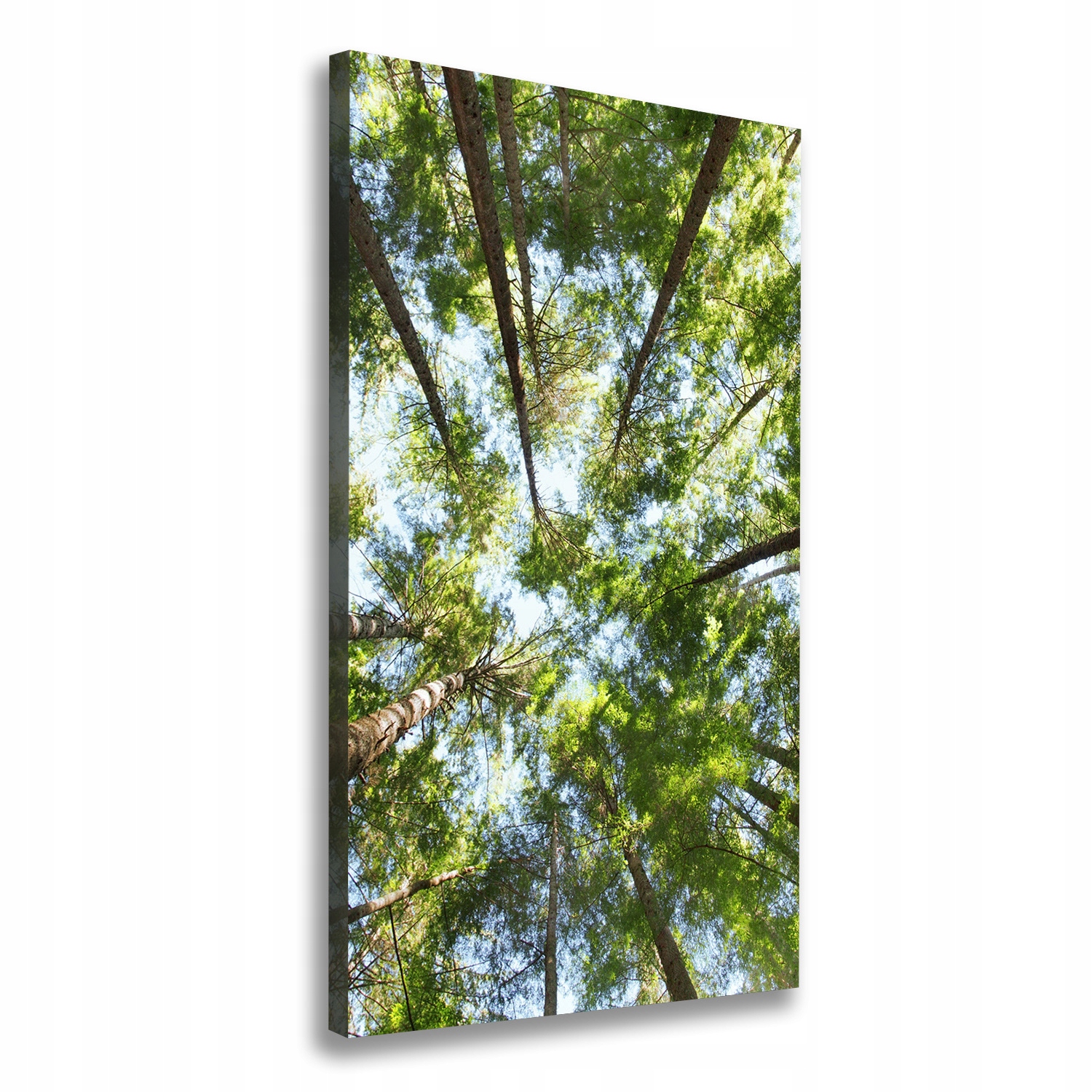 Fotoobraz canvas do obývacího pokoje Koruna stromů 70x140