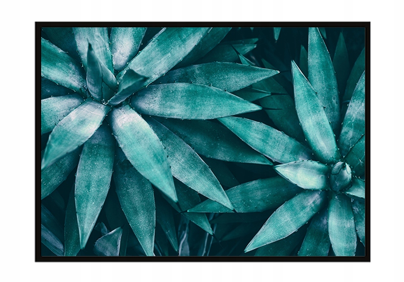 

Obraz Plakat W Ramie 73x53 cm Liście P1118