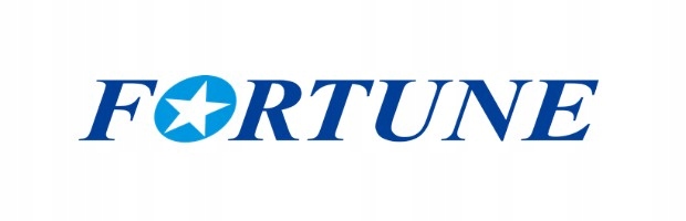 2 szt. FORTUNE 195/55R15 SnowFun FSR-901 85H RANT Nowe Marka Fortune