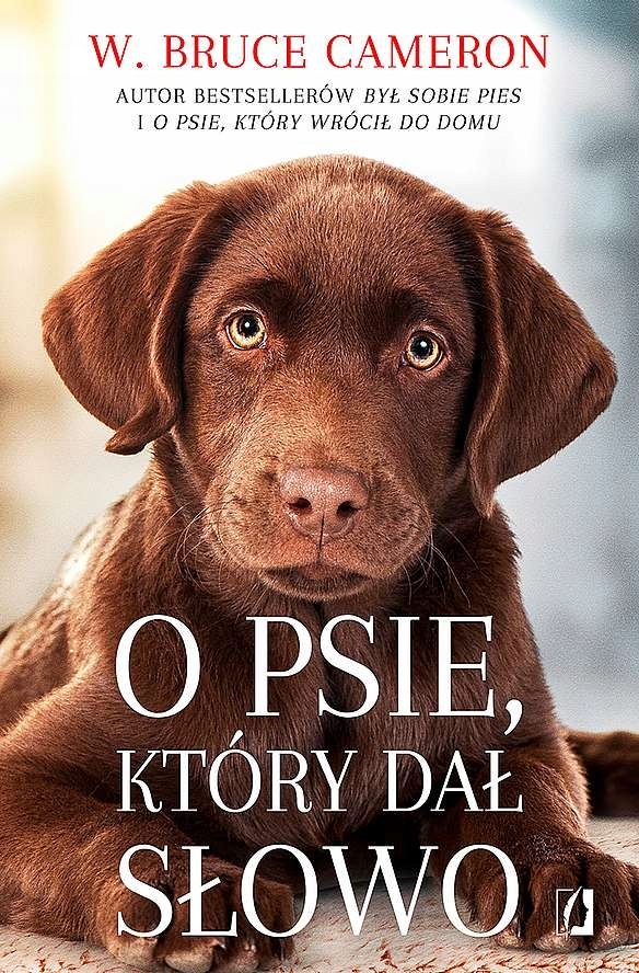 

O psie, który dał słowo W. Bruce Cameron