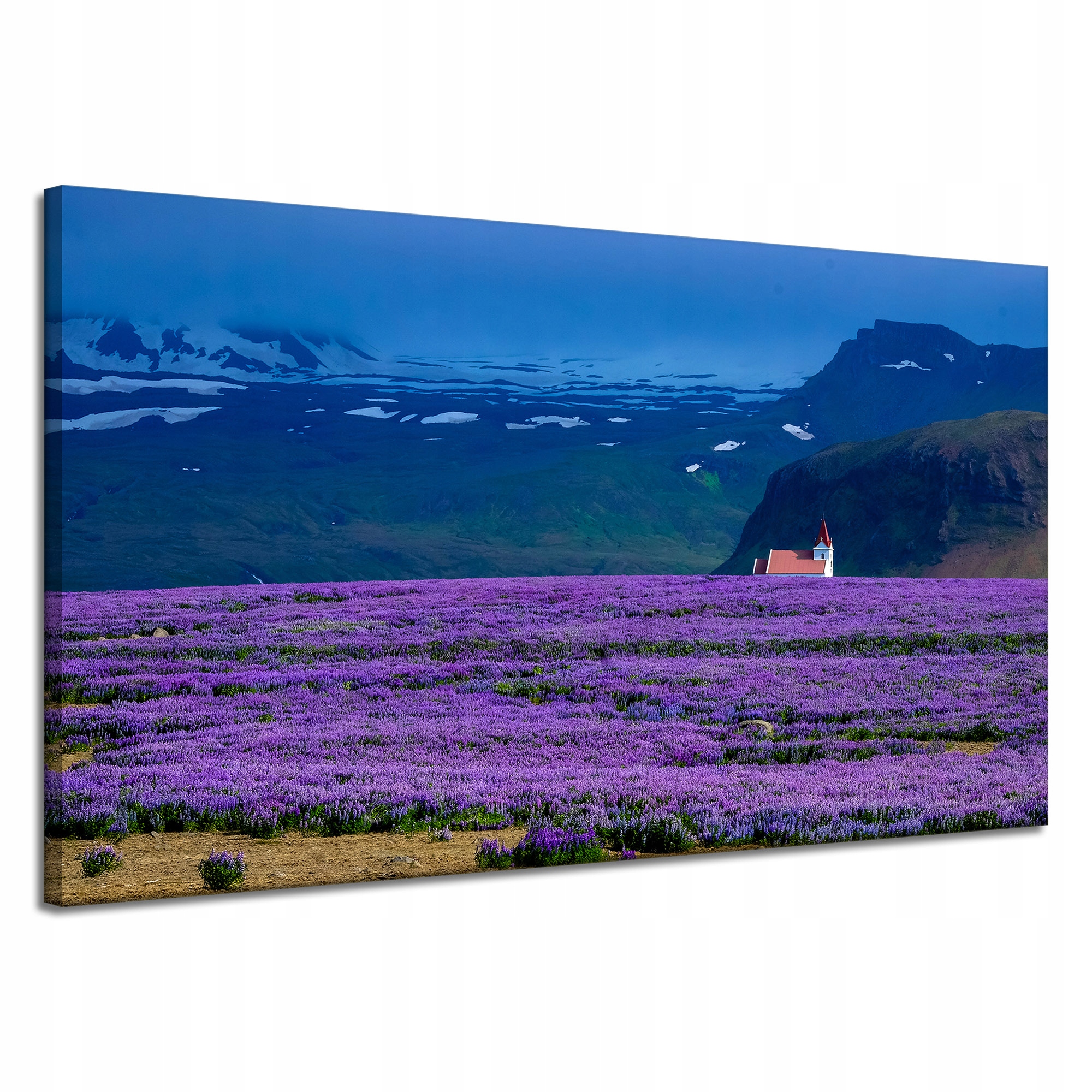 Obraz Canvas Natura Fialové pole levandule 120x70