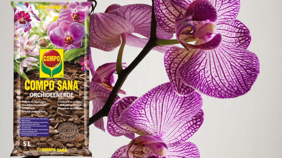 PODŁOŻE ZIEMIA DO STORCZYKÓW ORCHIDEI PROFESJONALNE COMPO SANA 5L LEKKIE pH 6-6