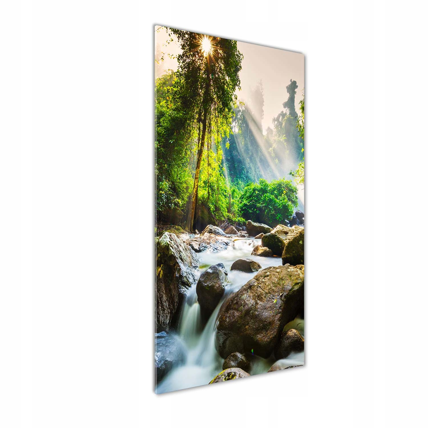 

Foto obraz szklany pionowy Wodospad w lesie 50x125