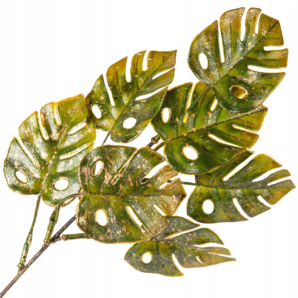 

Monstera Dekoracyjna Gałązka Ozdobna Do Kompozycji