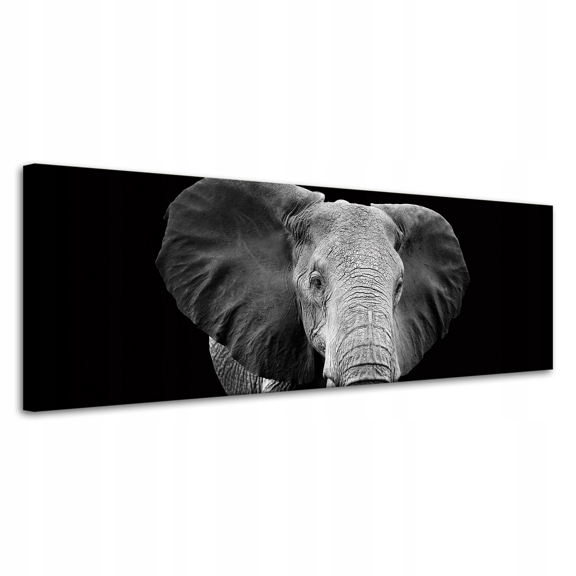 Obraz na plátně Šedý velký slon na černém pozadí 120x40 cm