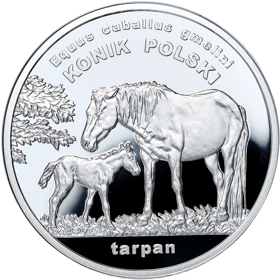 XD 20 zł 2014 Polski Konik