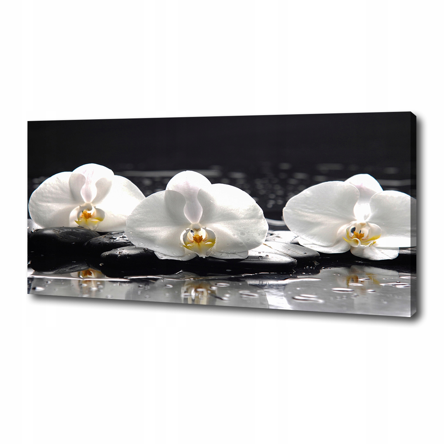 

Foto obraz canvas na ścianę Orchidea 125x50 cm