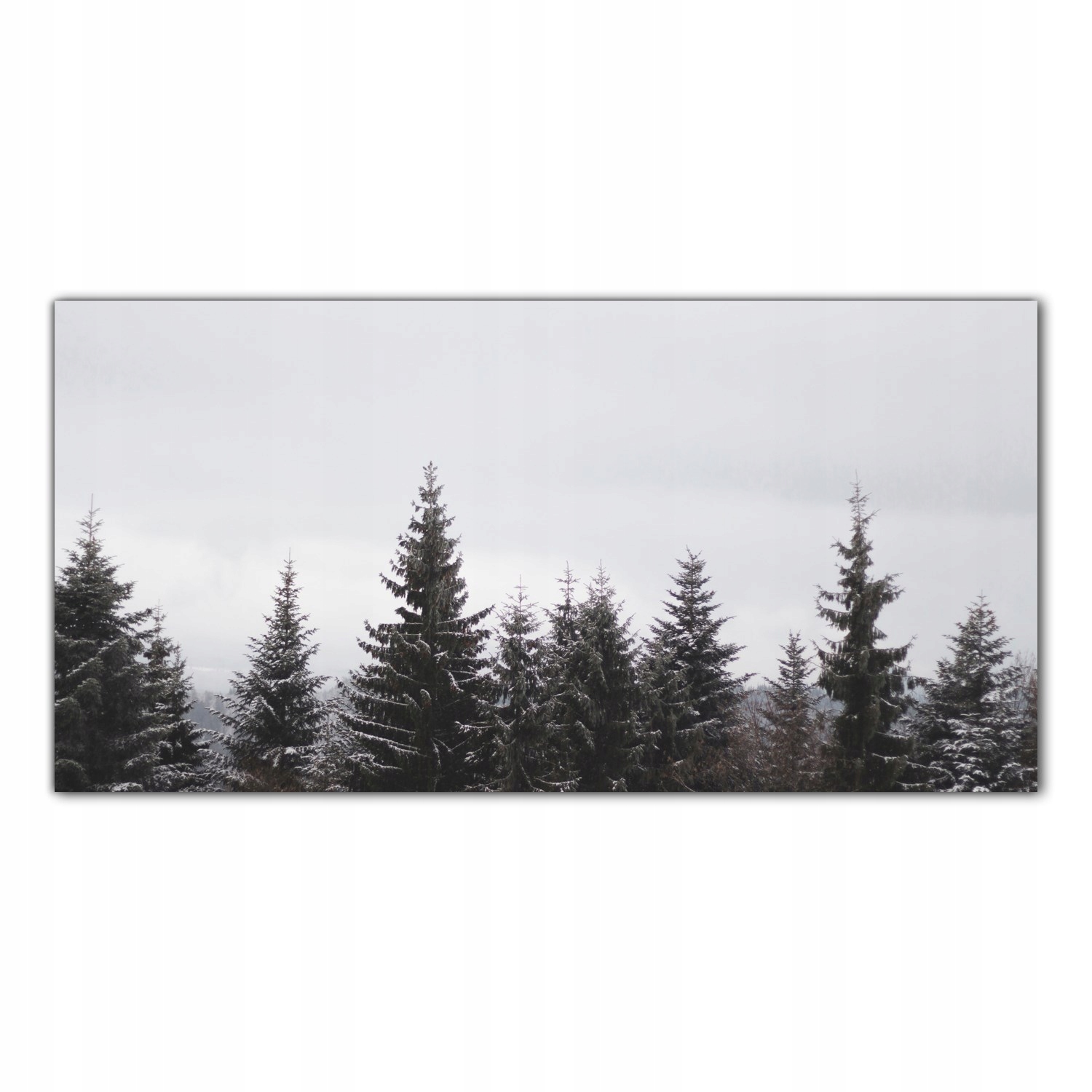 

Obraz Szklany Foto-obraz Drzewa Las Natura 140x70