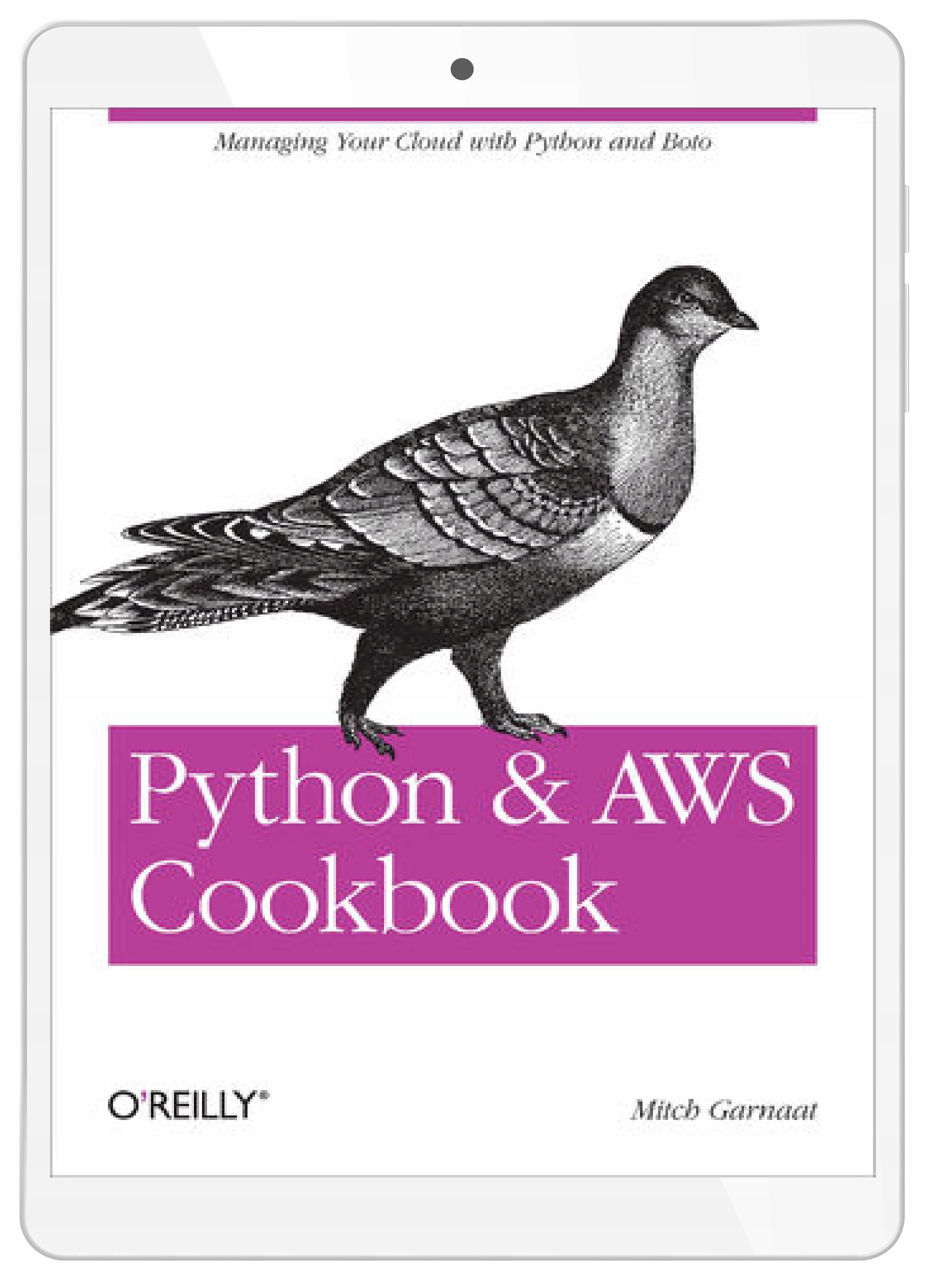Python and AWS Cookbook. Managing Your Cloud with