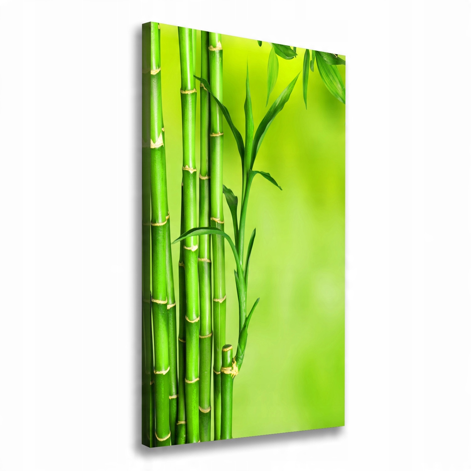 

Nowoczesny fotoobraz canvas na ramie Bambus 50x100