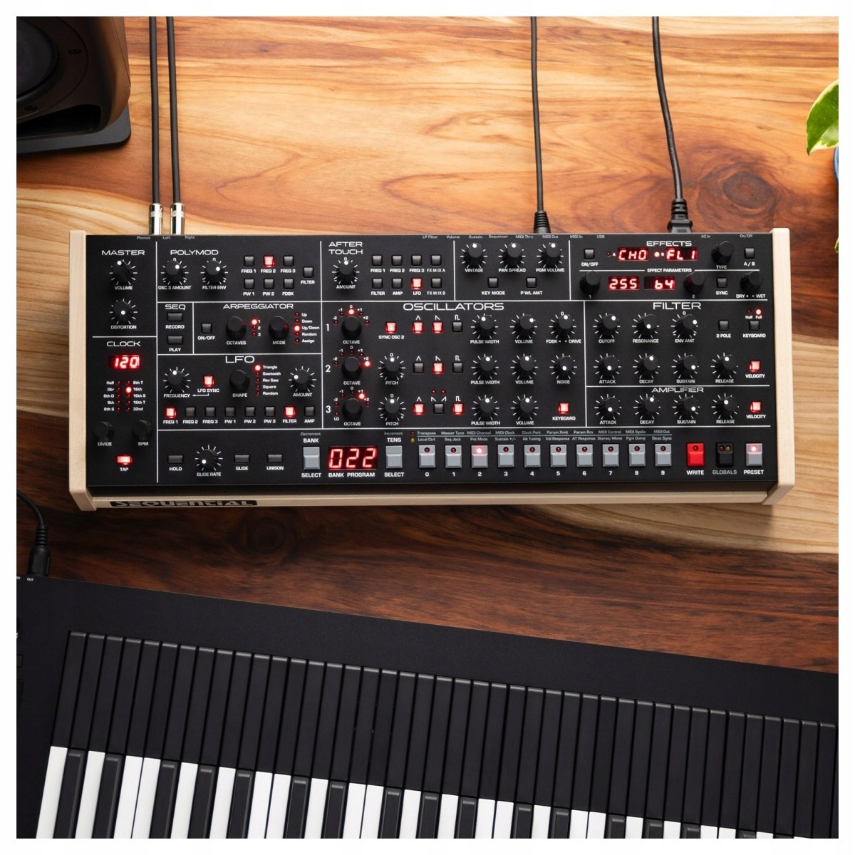 Sequential Trigon 6 Module EAN (GTIN) 0855346000531