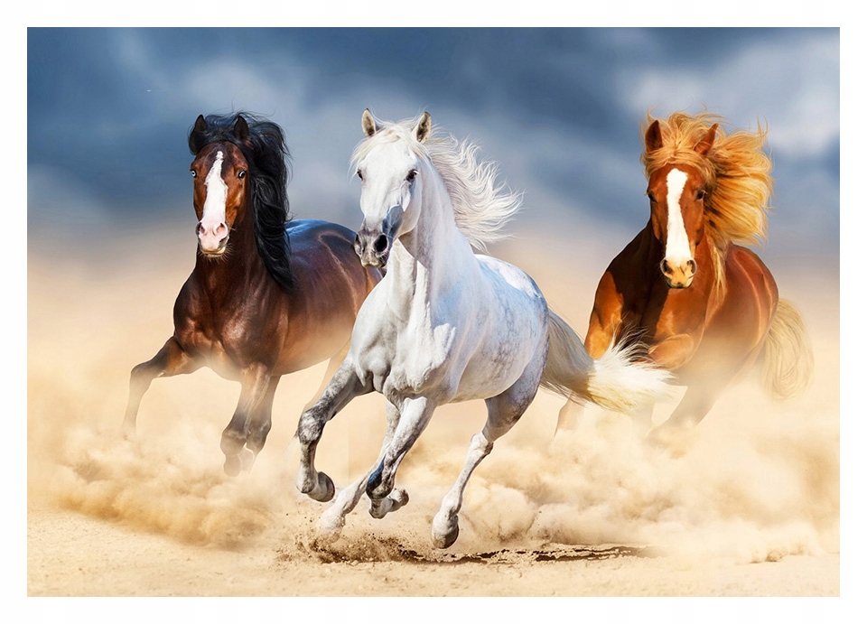 

Fototapeta 3D konie galop piasek 368x254 F00786