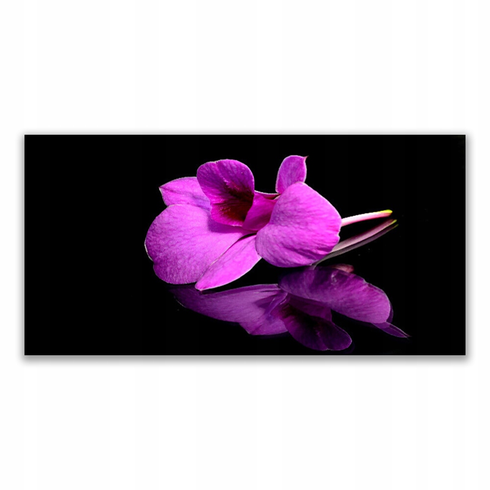 

Fotoobraz nowoczesny 140x70 Kwiaty Martwa Natura