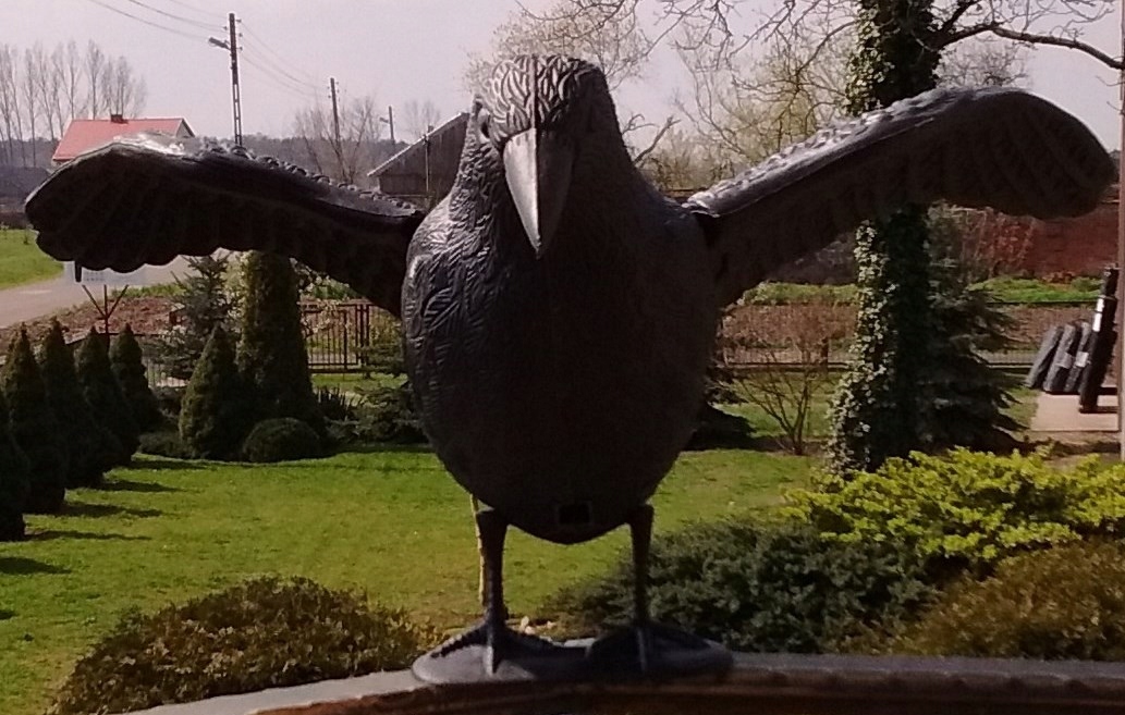 Duży kruk do lotu odstraszacz kolor oczy !! Rodzaj odstraszacz