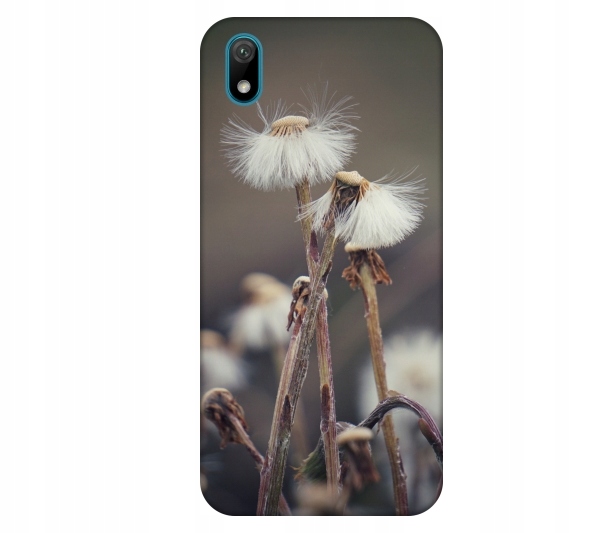 

Etui na telefon Huawei Y5 2019 Dmuchawce