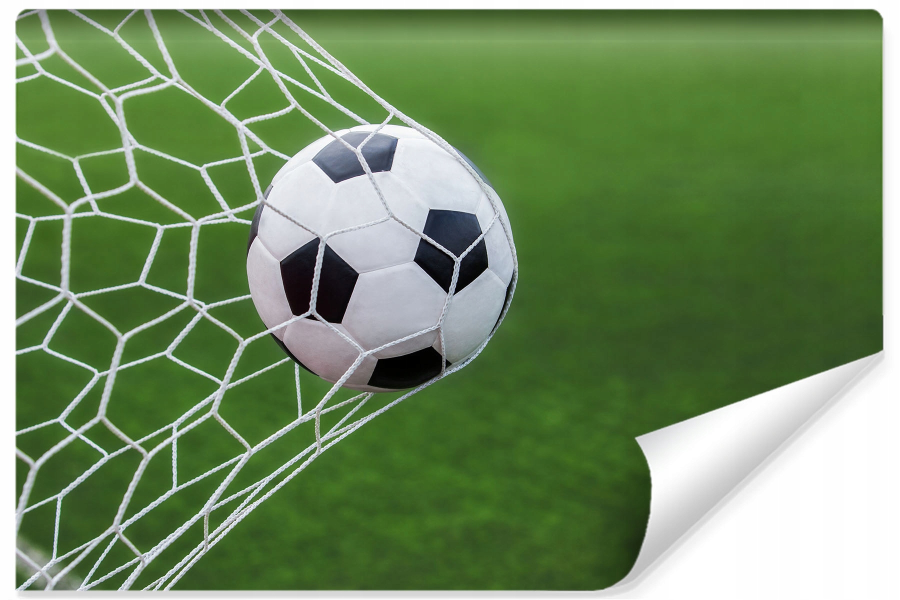 

Fototapeta Piłka Nożna Boisko Murawa Sport 180x120