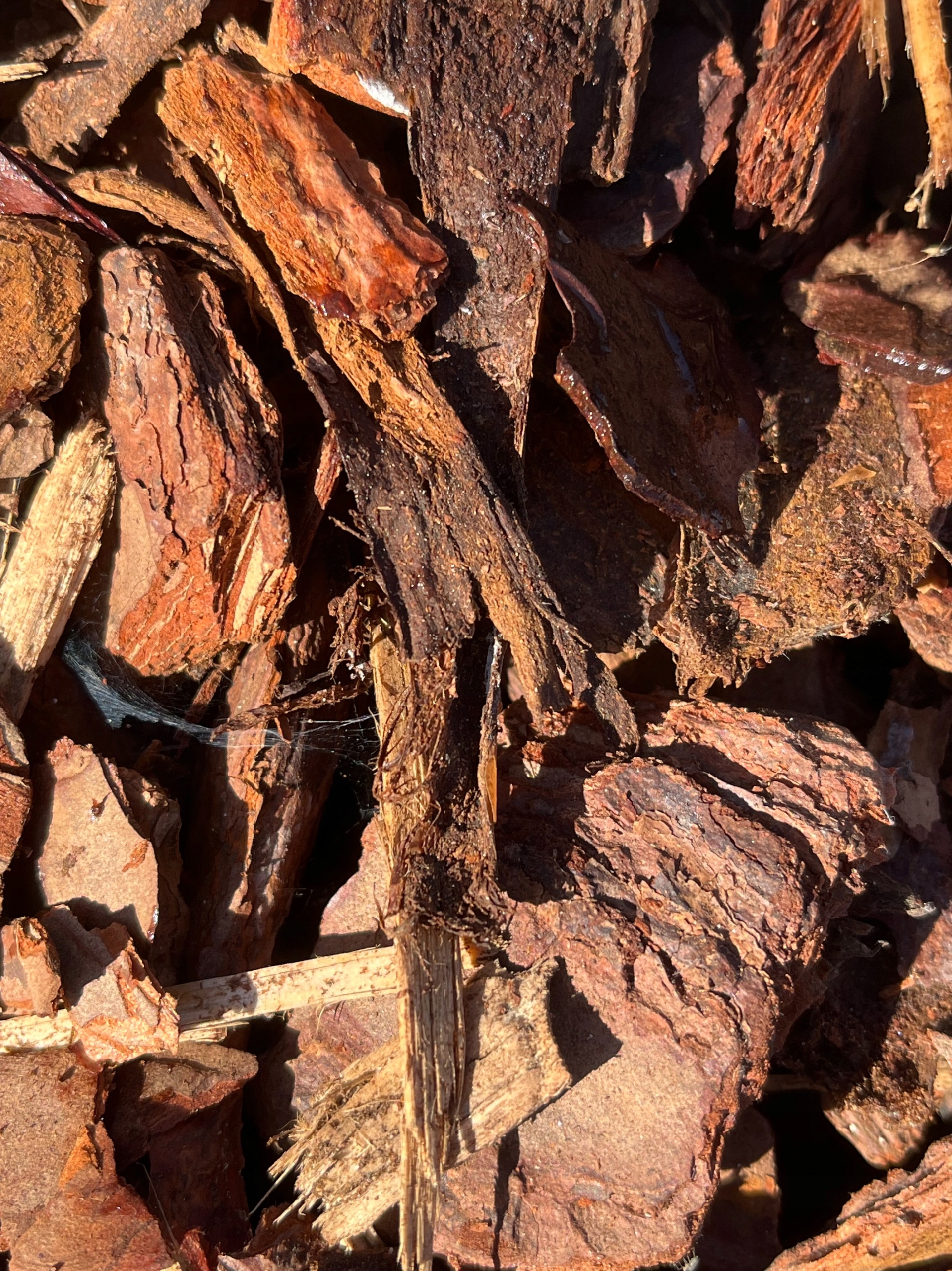 Kora Sosnowa Ogrodowa Gruba 80L