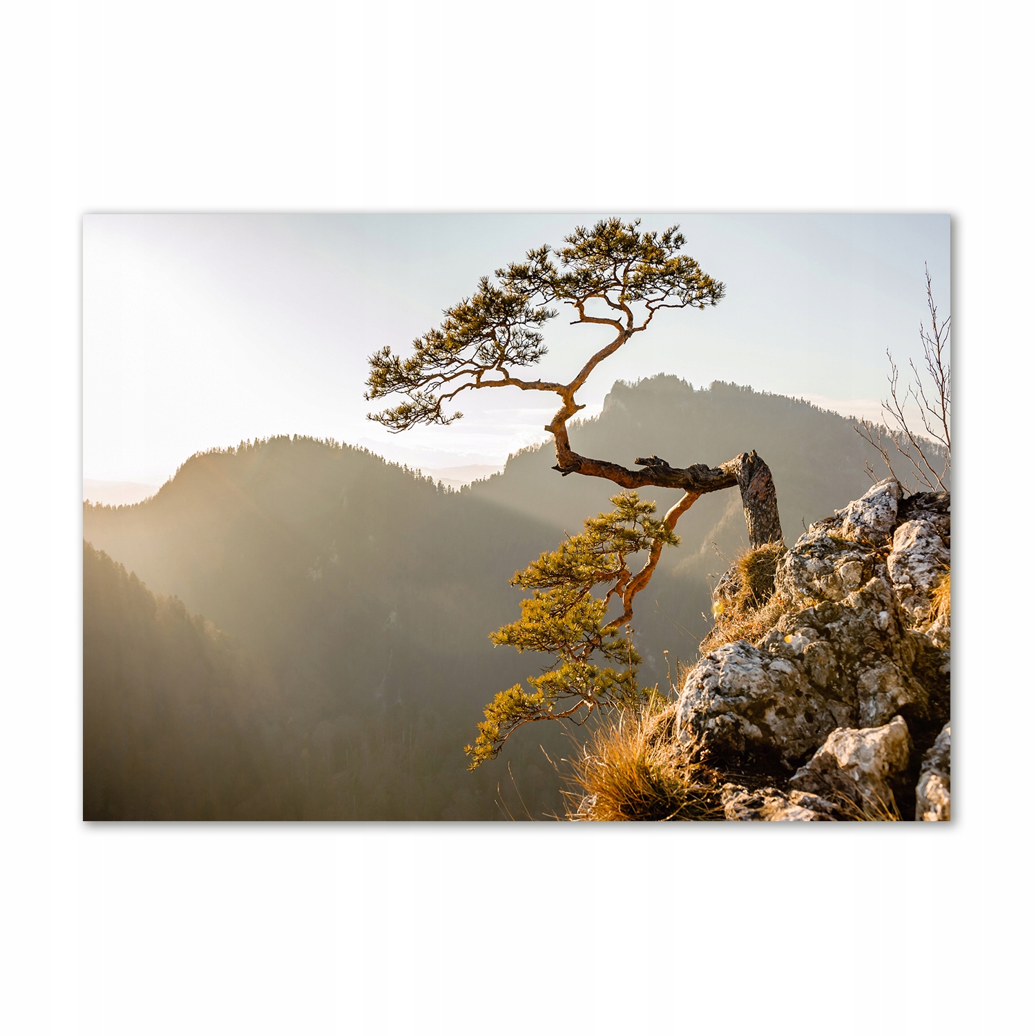 

Foto obraz szklany Sokolica Pieniny 100x70