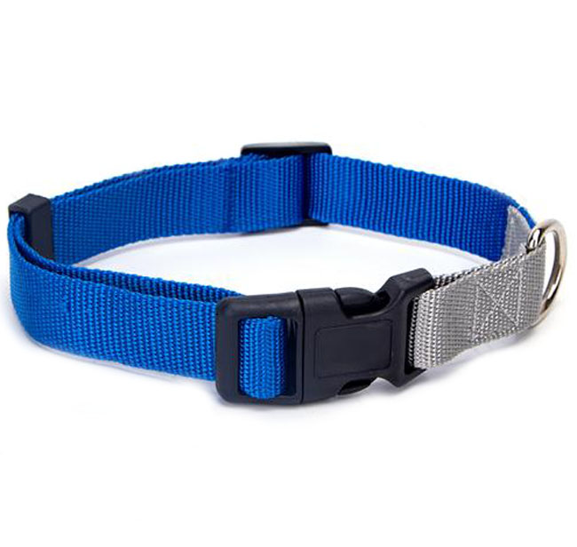 

Obroża Obróżka dla Kota Psa Szczeniaka 20-30CM