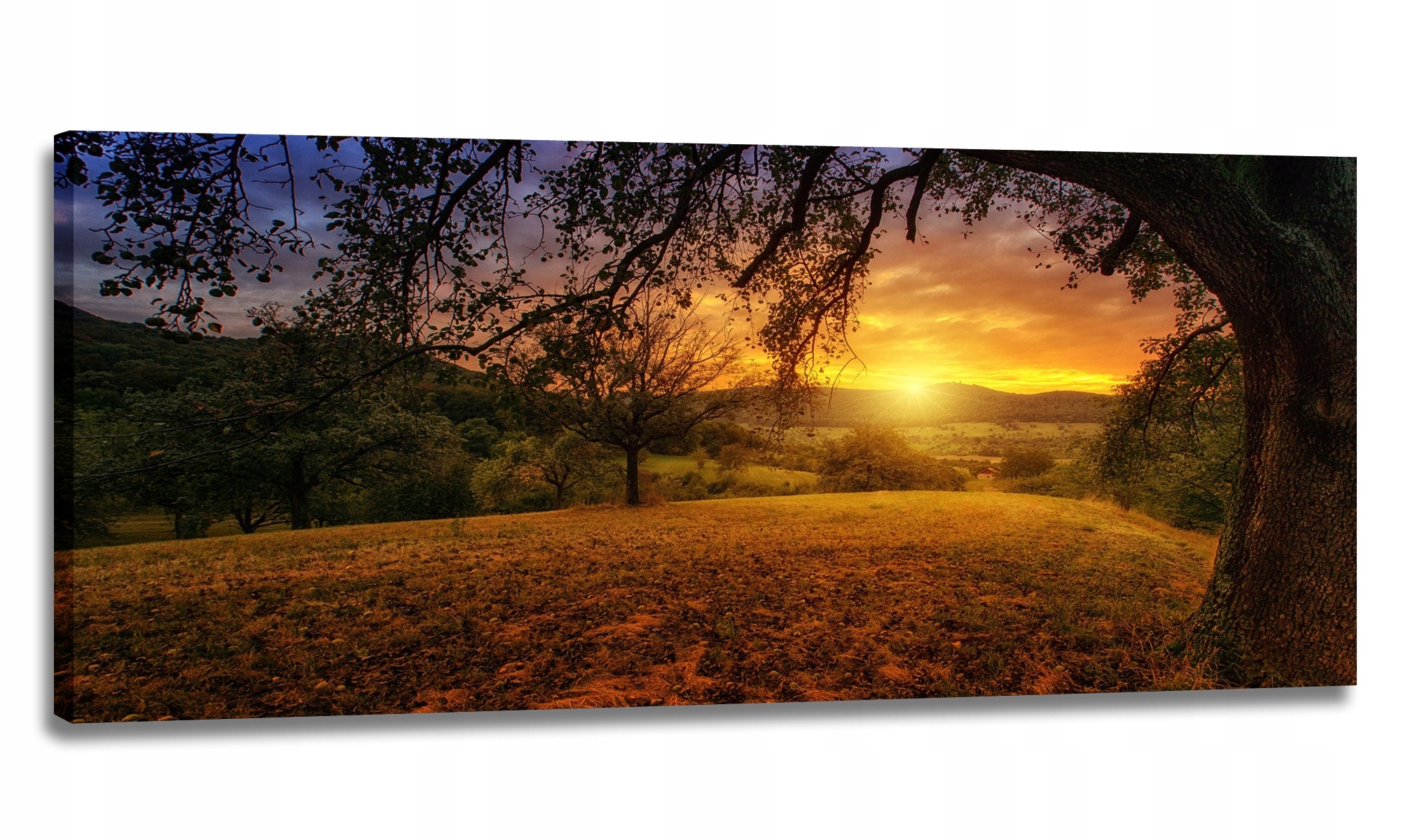 Obraz 170x70 Krajobraz Widok