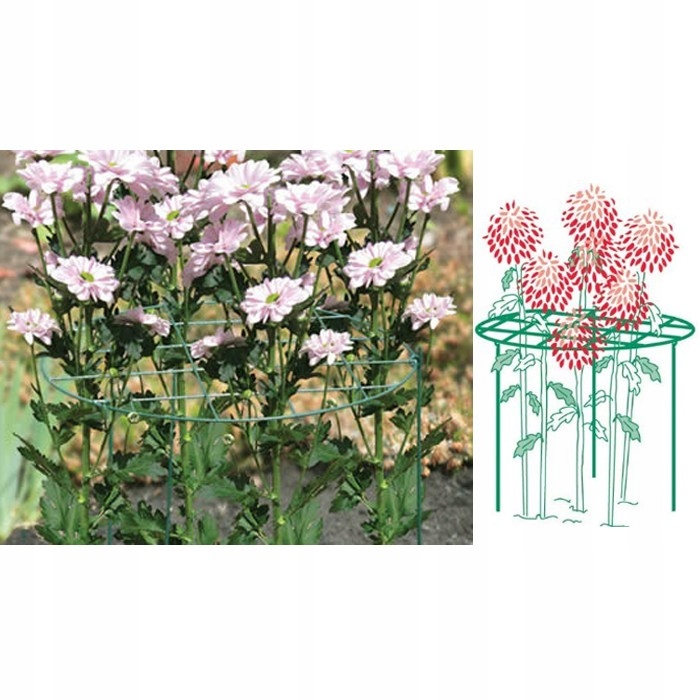 PODPORA DO ROŚLIN KWIATÓW PRZERASTANIA METALOWA ZIELONA NA KWIATY = 60x40cm Rodzaj krata