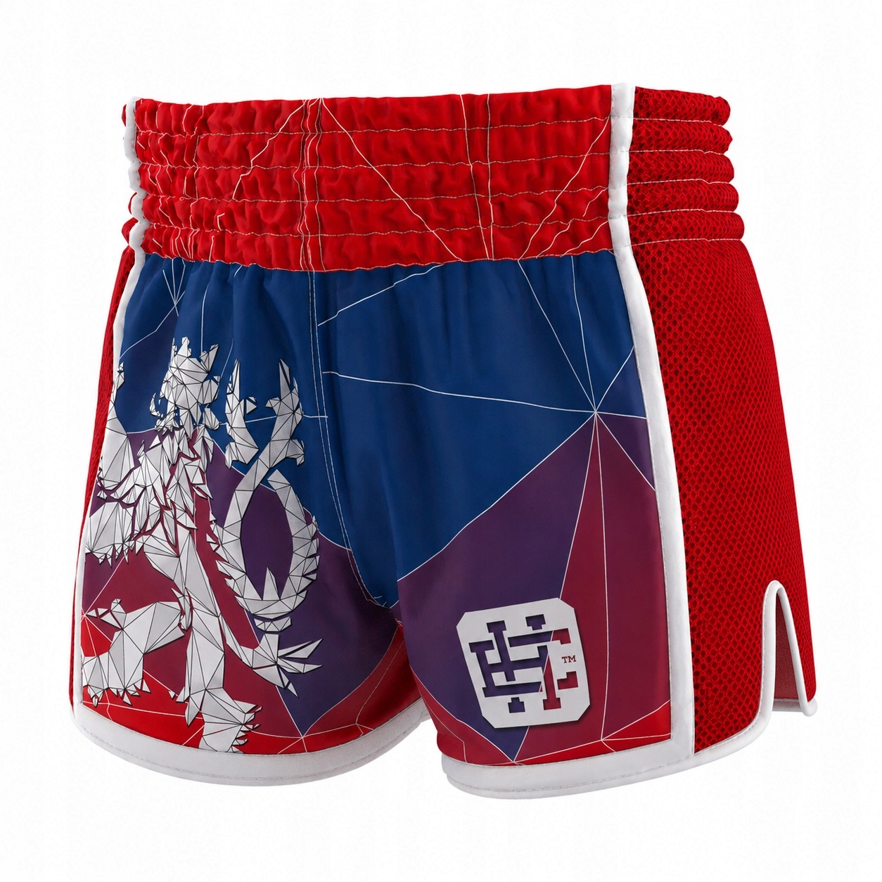 Kraťasy muay thai Mma K1 Český Lev L Extreme Hobby