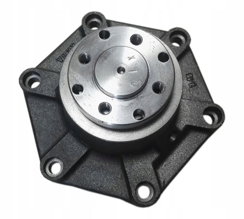 Водяной насос Fendt RENAULT F312200610010