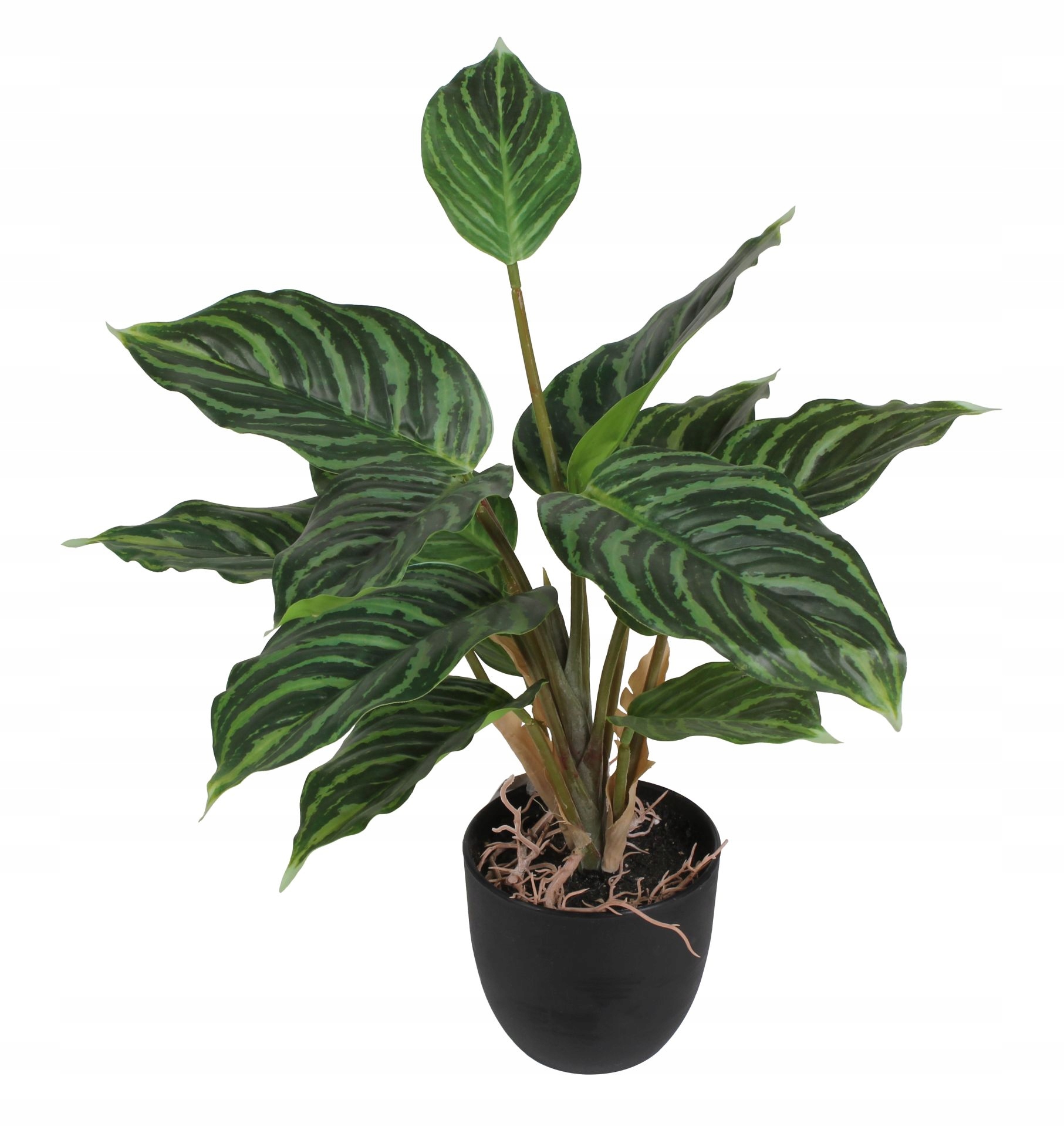 

Sztuczna roślina Aglaonema 35 cm jak prawdziwa