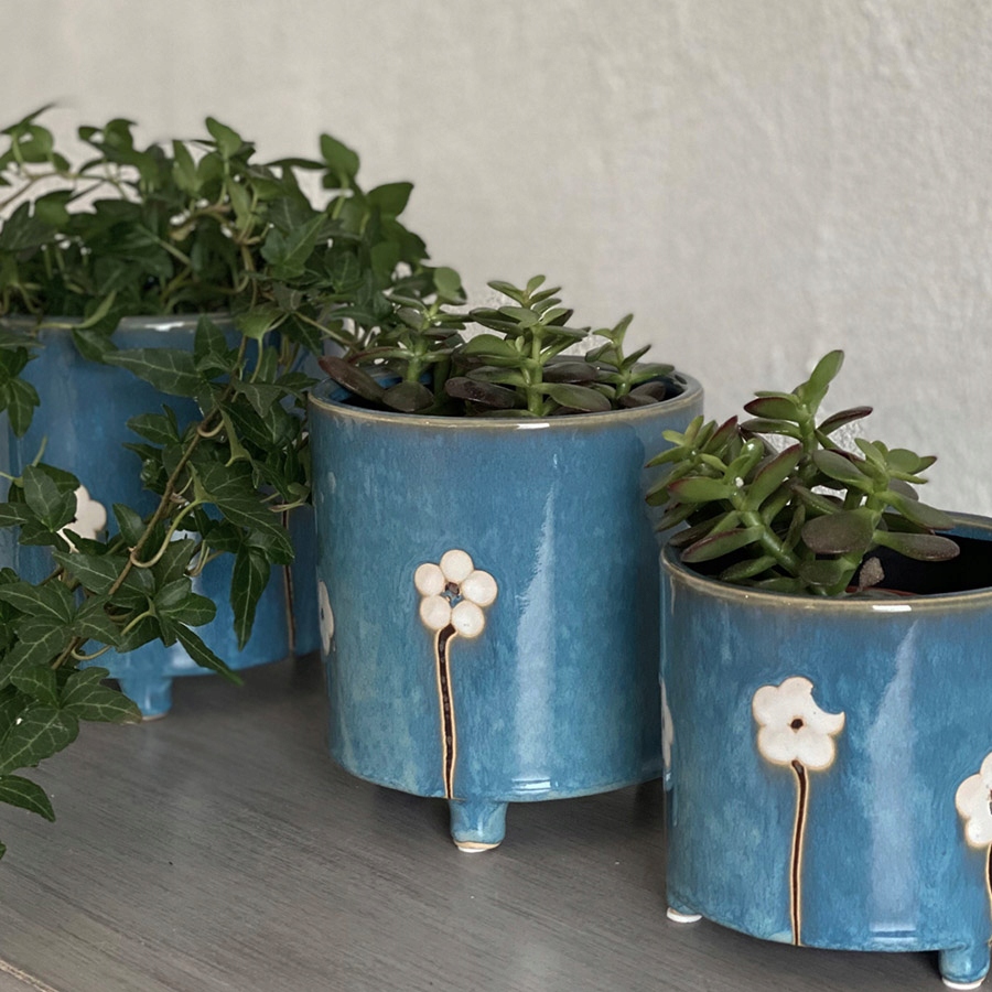 DONICZKA NIEBIESKA KWIATKI ZWIASTUN WIOSNY 13x14 Kod producenta 040262180