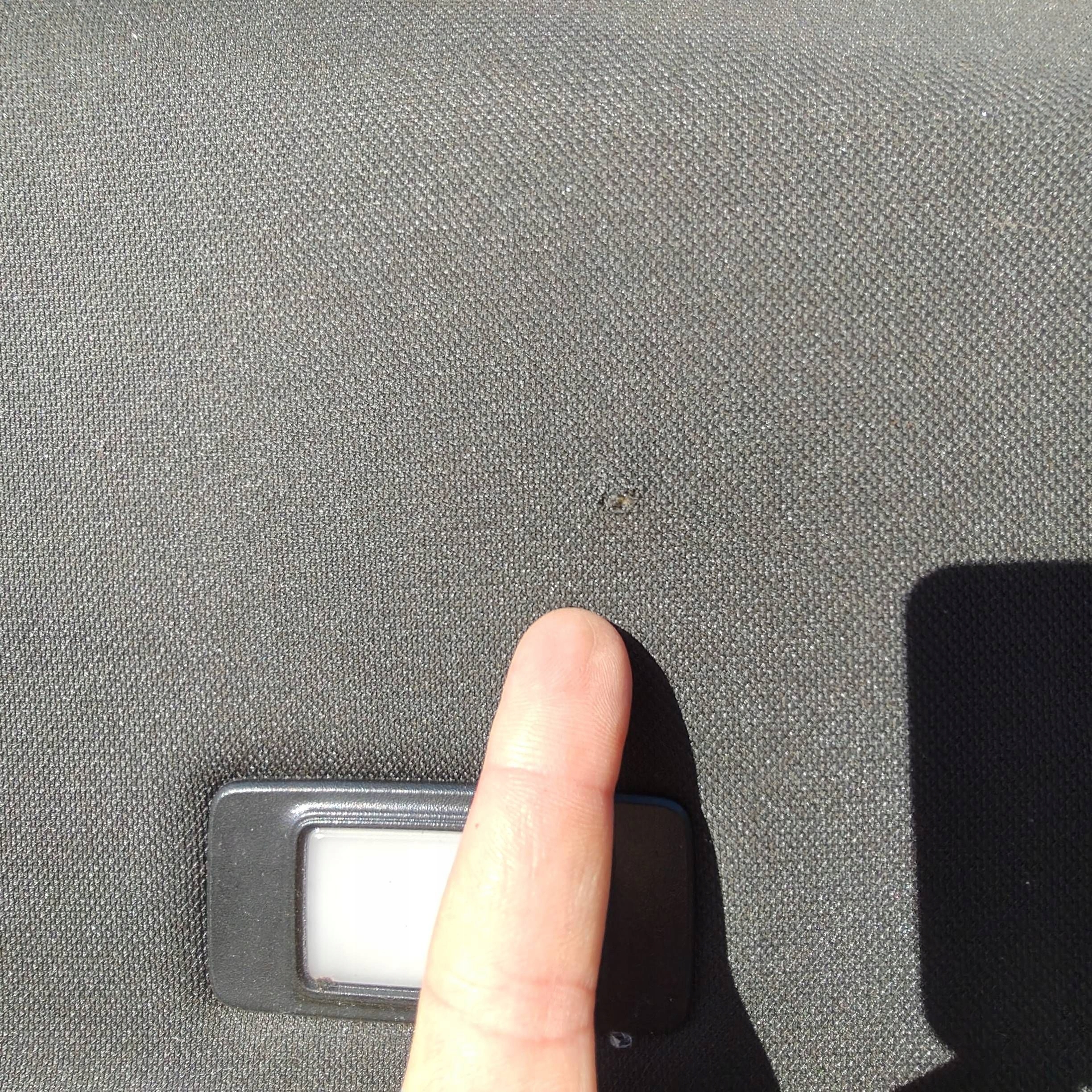 CIELO INTERNO Renault Clio V