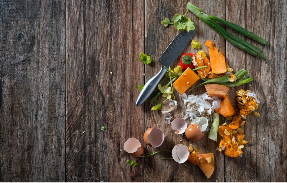 1000szt Dżdżownice Kalifornijskie do Kompostowania Producent Ekagro