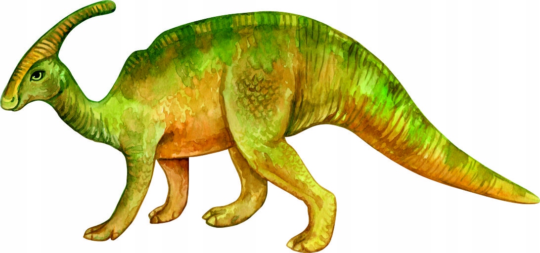 

Naklejka Na Ścianę Dinozaur 9 Wzorów