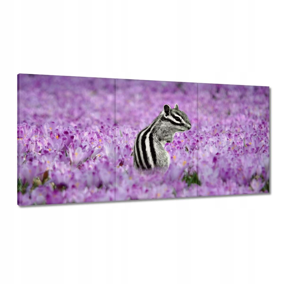 Obrazy 180x90 Zvieratá Zvieratká