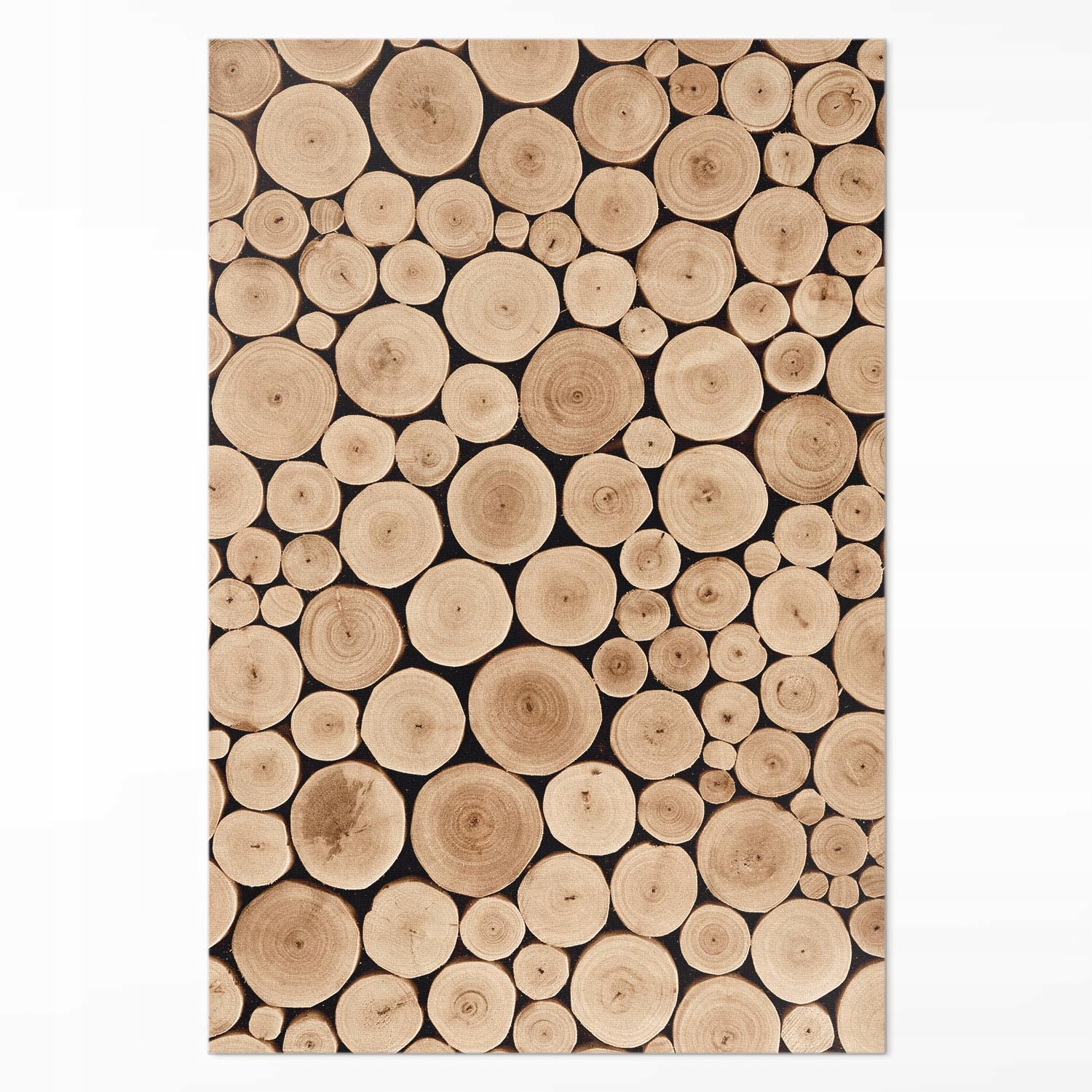 Dekoračný vinylový koberec pod stôl Kmeň stromov s drevenými kolíkmi 100 x 150 cm