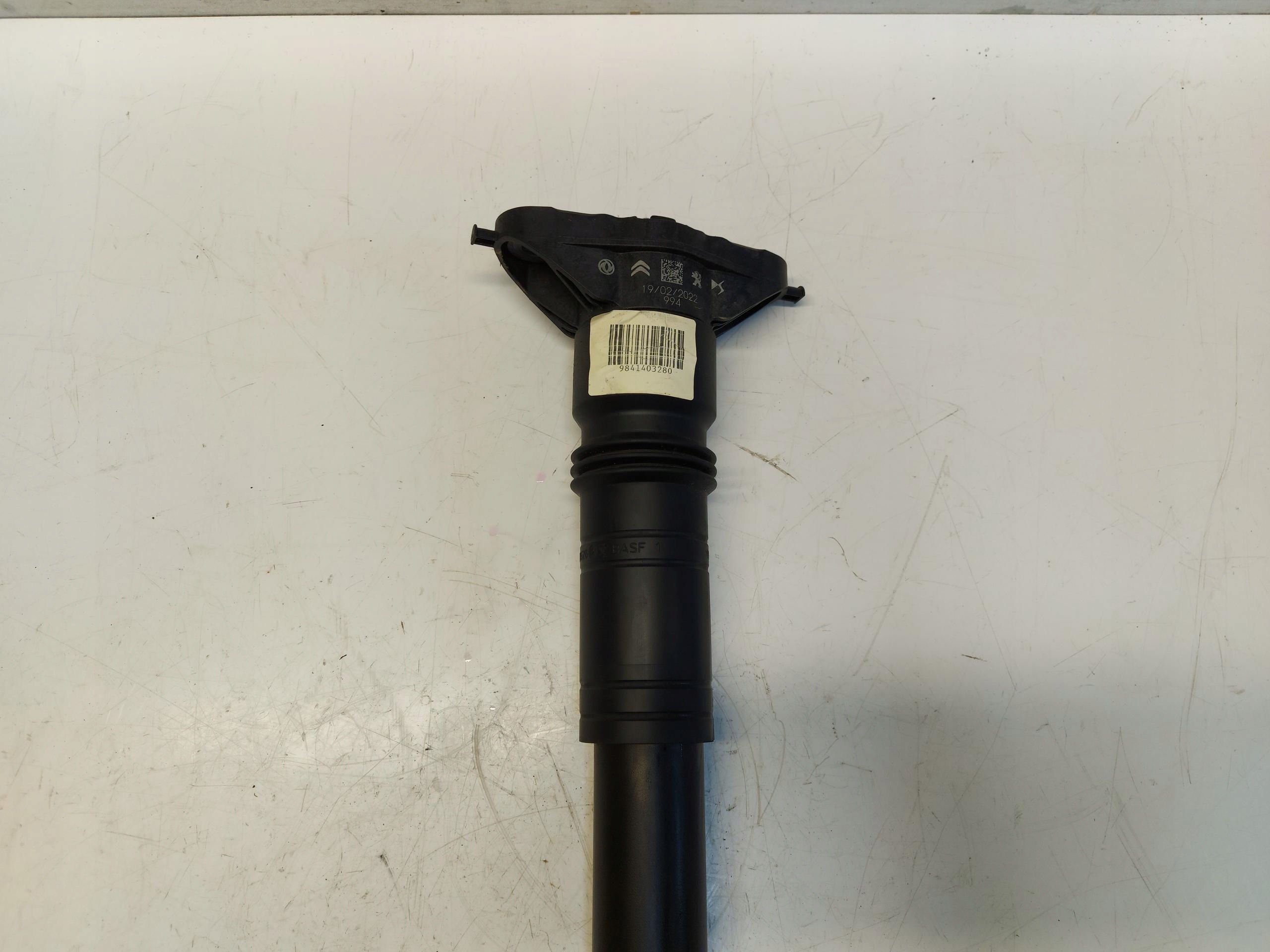 Citroen C4 III Stoßdämpfer heck 9841379480