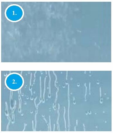 Drzwi prysznic Premium Pro Black DWJ 100 RADAWAY R Rodzaj drzwi do wnęki