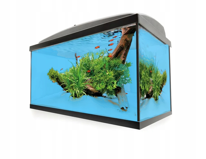 Zestaw 80 Box Aquael Akwarium Prosty 112L Pokrywa Led Dzień Noc Proste