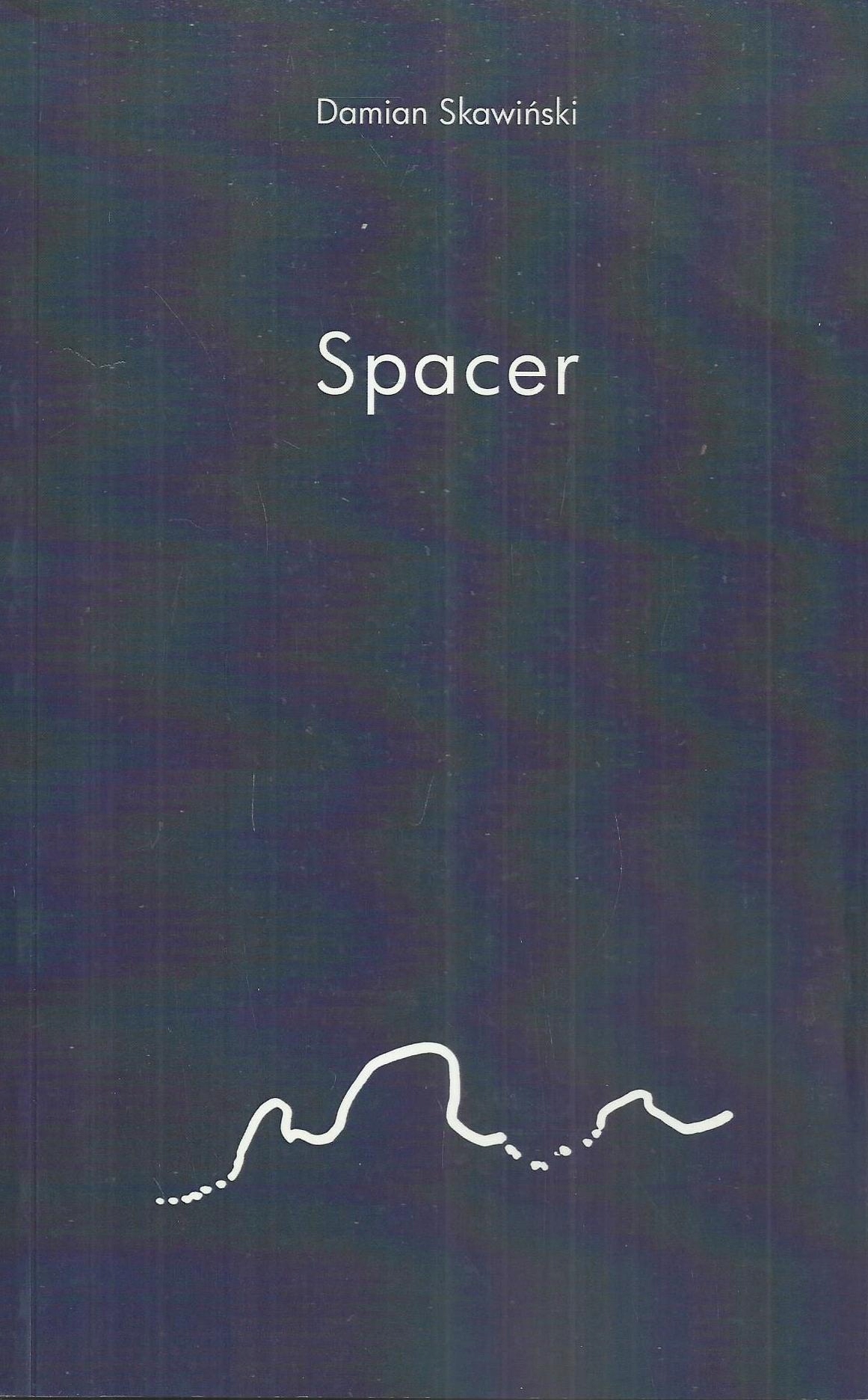 Spacer Damian Skawiński