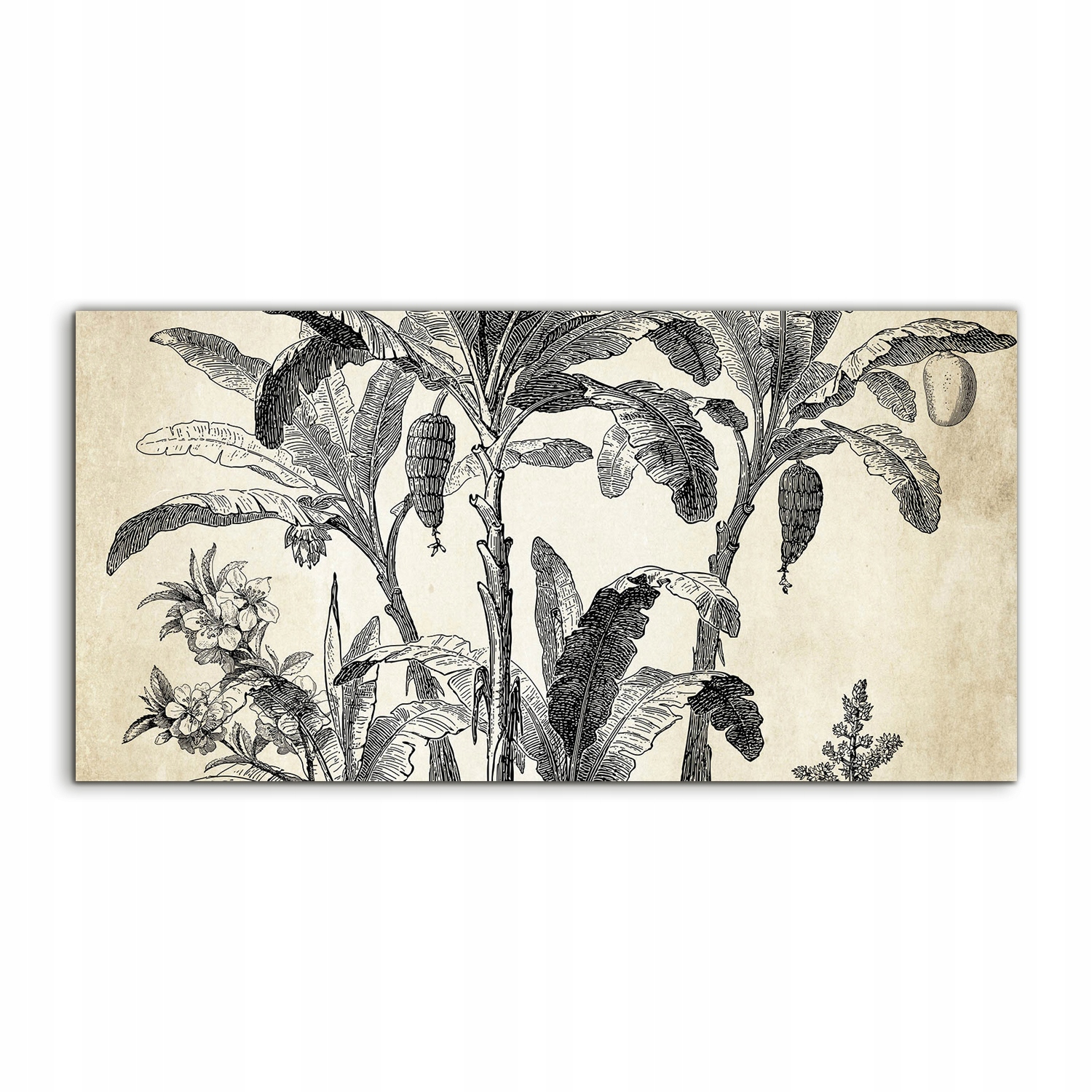 

Obraz akrylowy 120x60 wiszący Palma Natura Vintage