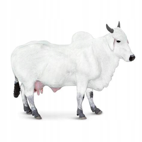 

Krowa Zebu Ongole Cow Safari Ltd. 100150
