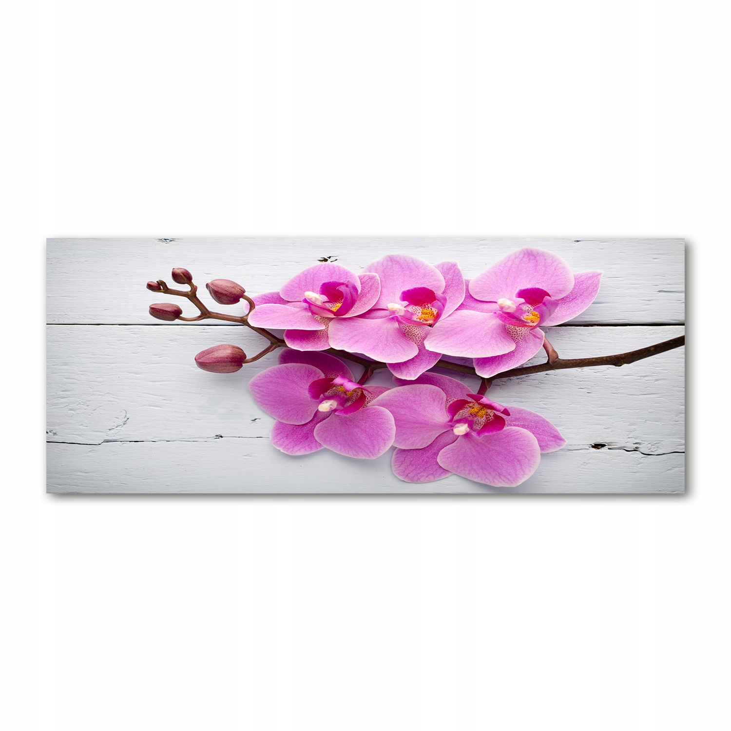 

Foto obraz szkło akryl Orchidea na drewnie 125x50