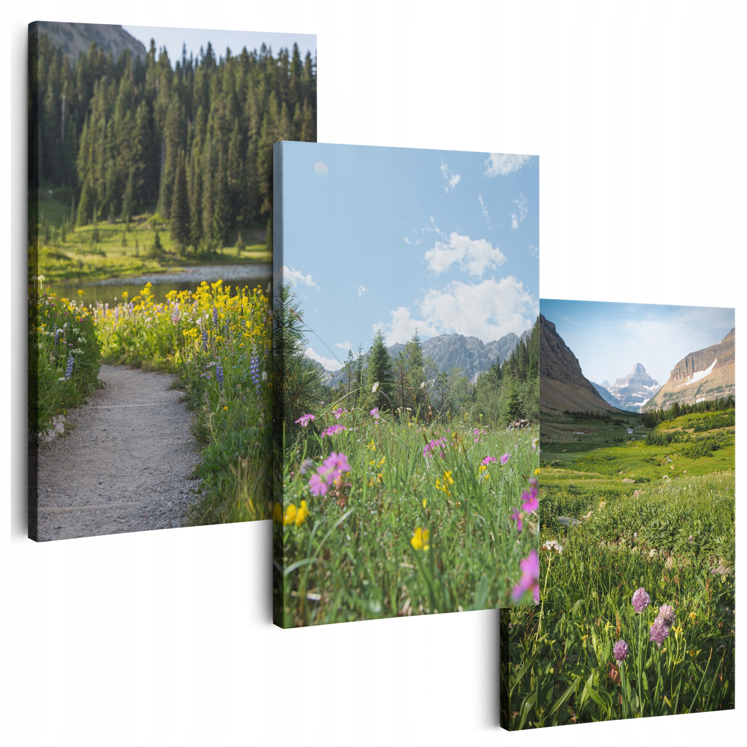 Obraz Na Plátně 180 cm **mnoho vzorů** Obrazy Do Obývacího Pokoje Triptych Květiny