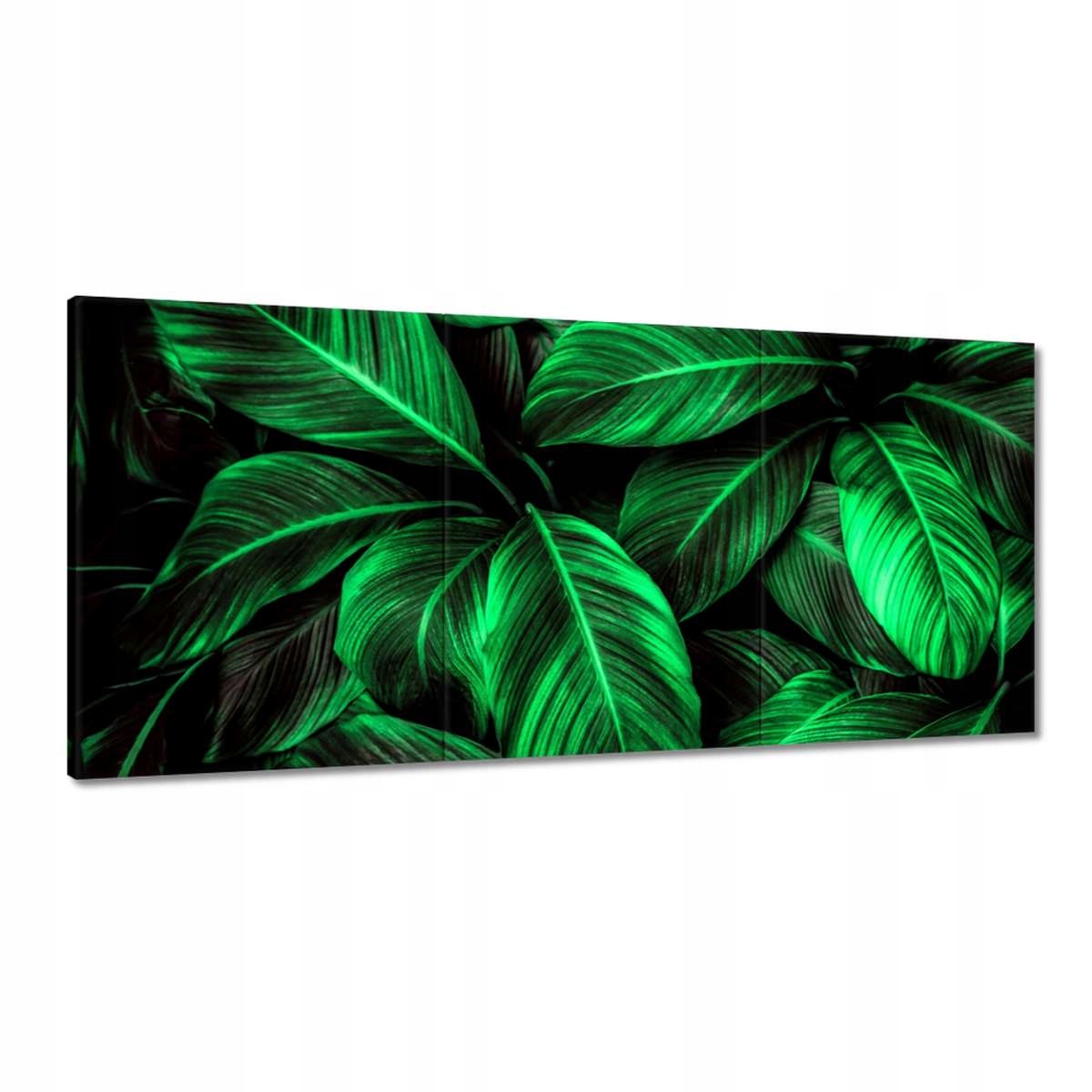 Obrazy 210x100 Zelené listy