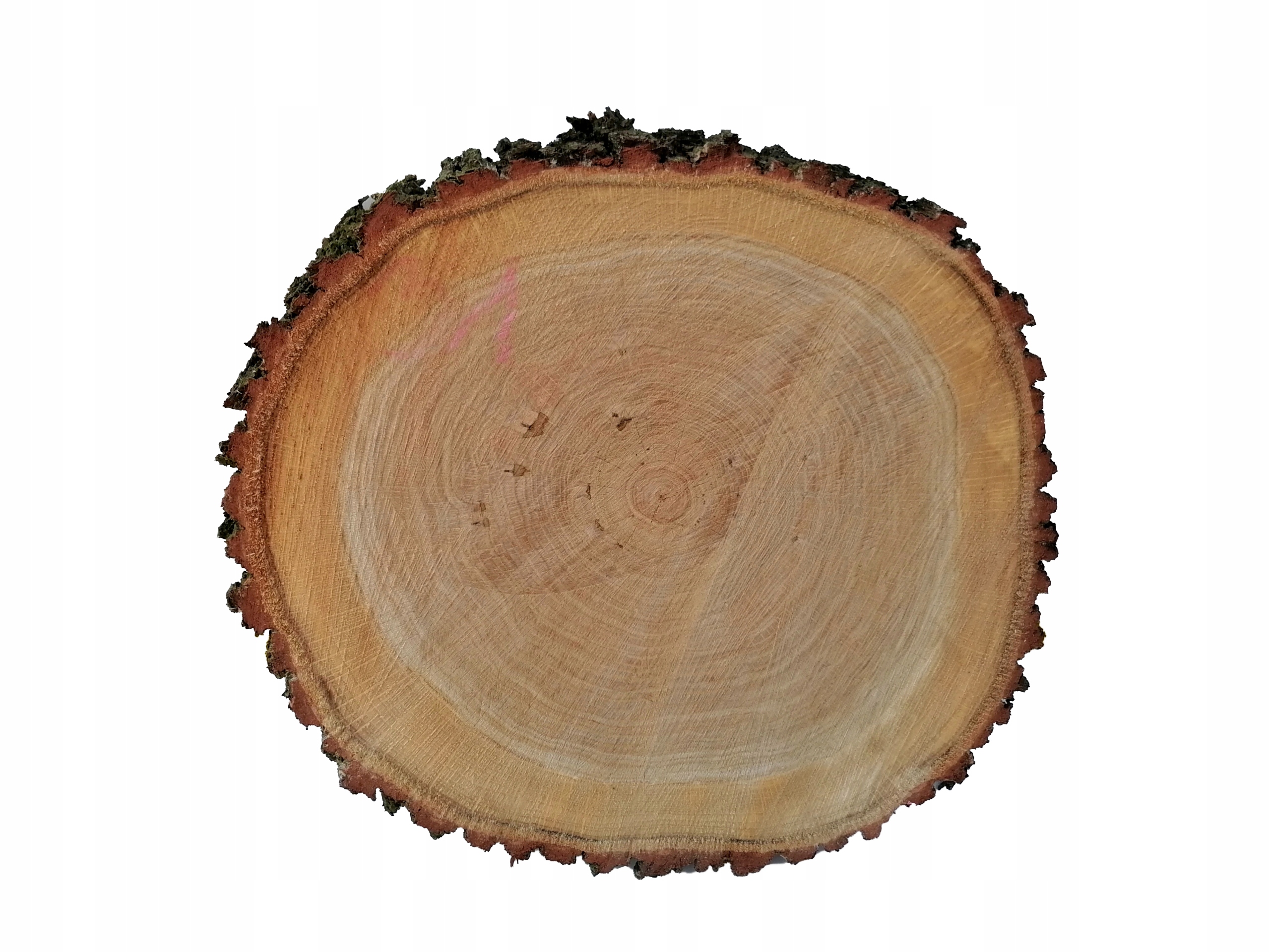 

Plaster Dębowy blat drewniany Dąb deska śr. 35 cm