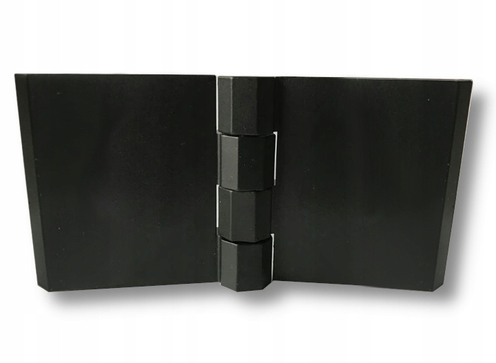 

Stanley Zawias 60x120 ze szpilkami,czarny