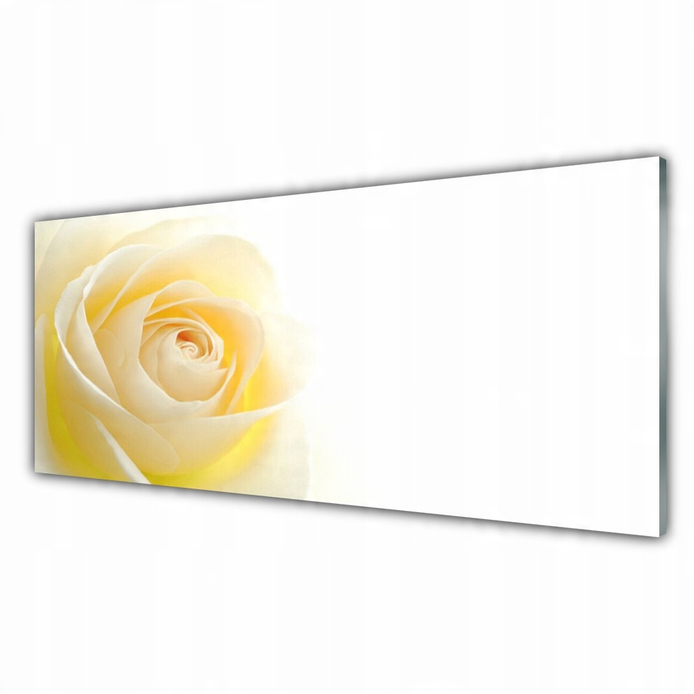 

Fotoobraz 125x50 Róża Kwiat Roślina Natura 125x50