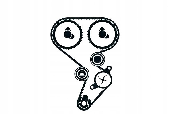 Skf Sada Rozvodů Pro Renault Clio Grandtour 1.