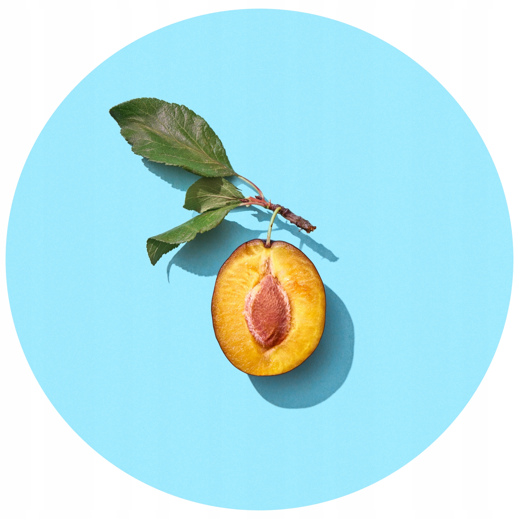 Rollsy śliwkowe naturalny prebiotyk 50 g Marka Naturalnie Zdrowi